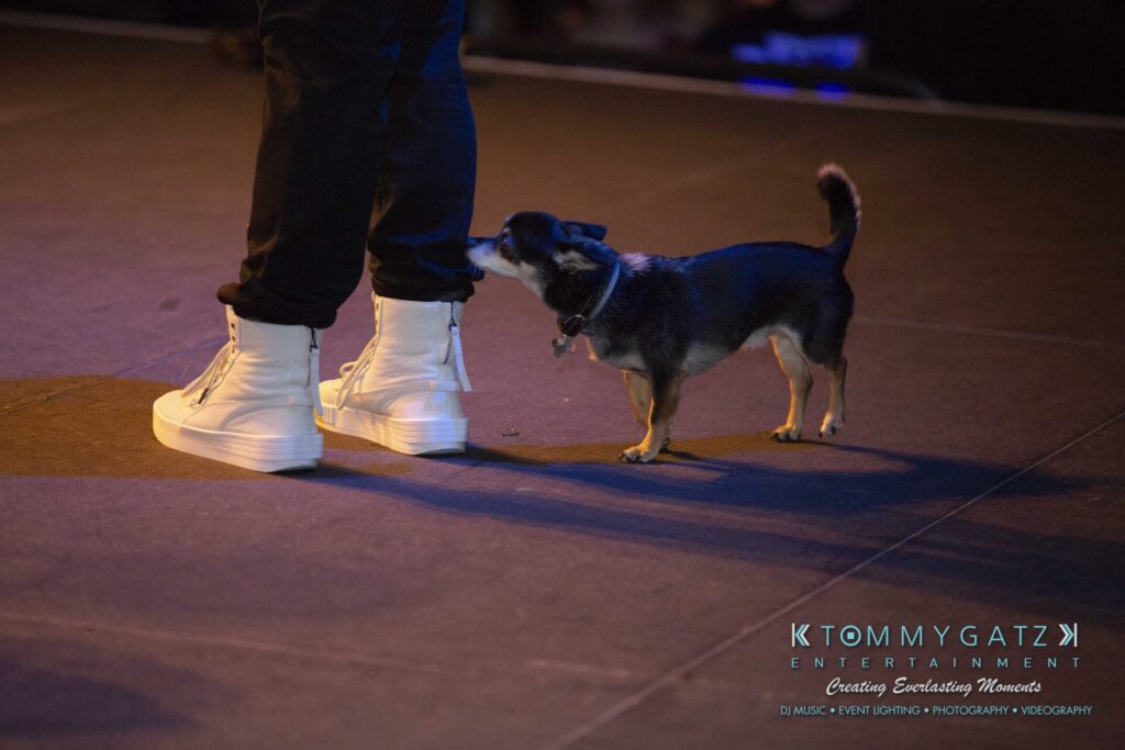 LWYD-Comedy-Tour-Baltimore-060118-FINALS-Low-Res-Watermark-227 - TOMMY GATZ ENTERTAINMENT A small dog sniffs a person's leg on a stage with bright lighting.