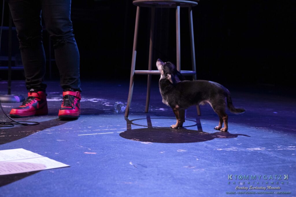 062219-Leesburg-TALLY-HO-Low-Res-WM-96 - TOMMY GATZ ENTERTAINMENT A small dog stands on stage beside a stool, looking up. A person in red sneakers stands nearby.