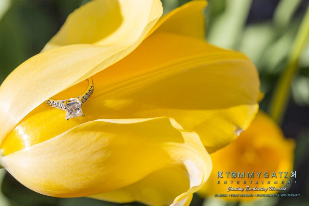 Kari-Jose-43018-FINALS-Low-Res-WM-46 - TOMMY GATZ ENTERTAINMENT A diamond ring rests on a blooming yellow tulip under sunlight.
