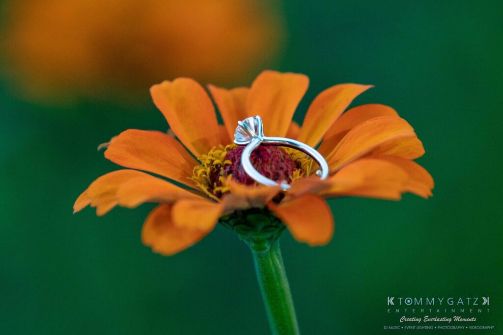 A silver ring with a single diamond is placed on an orange flower against a blurred green background.