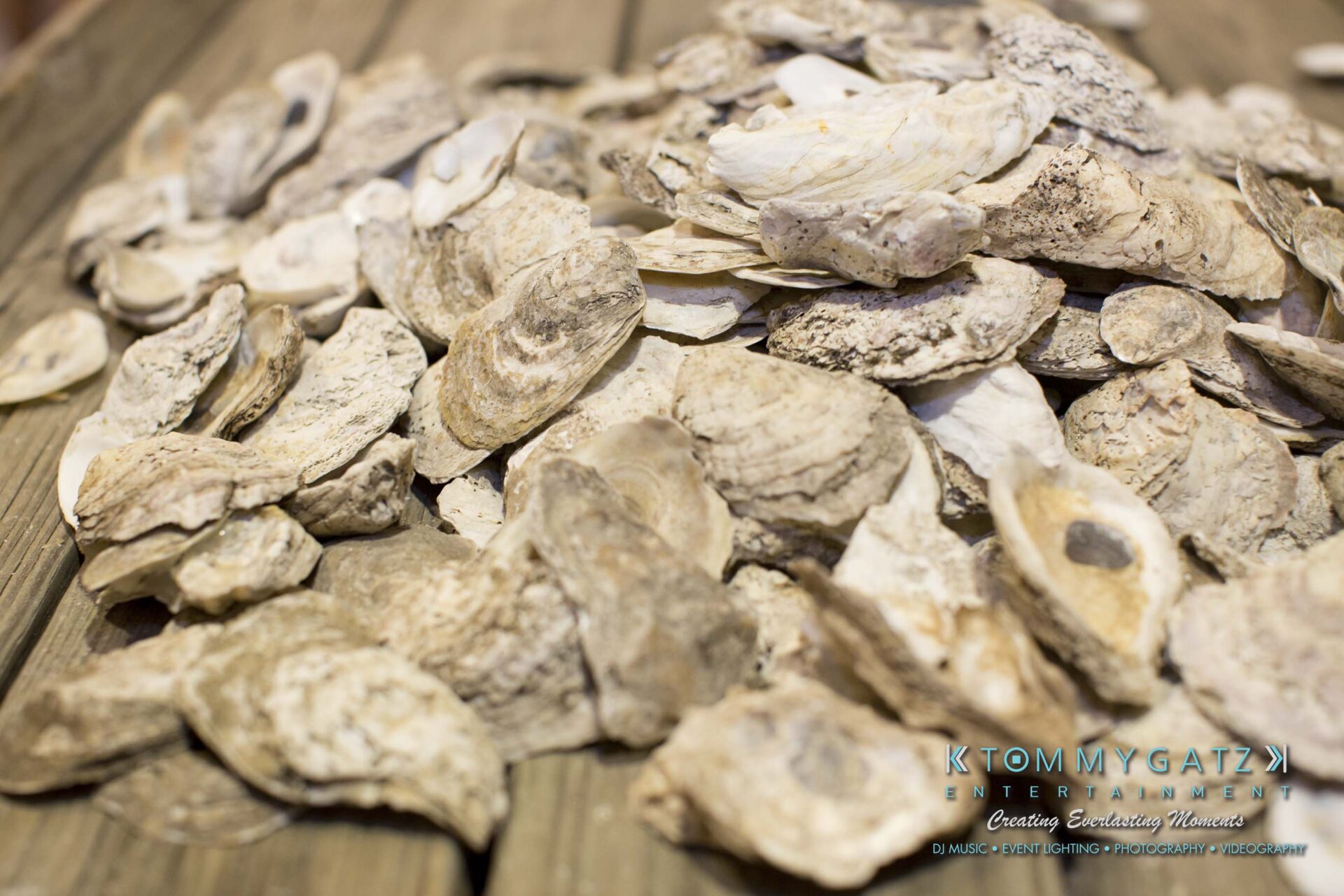 Amanda-Tyler-102117-RECEPTION-Low-Res-WM-18 - TOMMY GATZ ENTERTAINMENT A pile of empty oyster shells on a wooden surface.