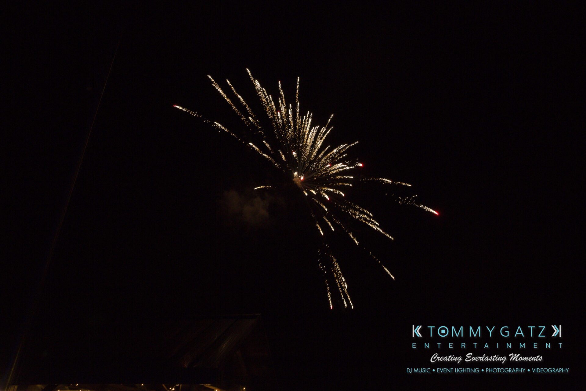 Ann-Marie-Alex-92317-RECEPTION-Low-Res-WM-132 - TOMMY GATZ ENTERTAINMENT Fireworks exploding in the night sky with faint smoke trails. Logo and text in the bottom corner.
