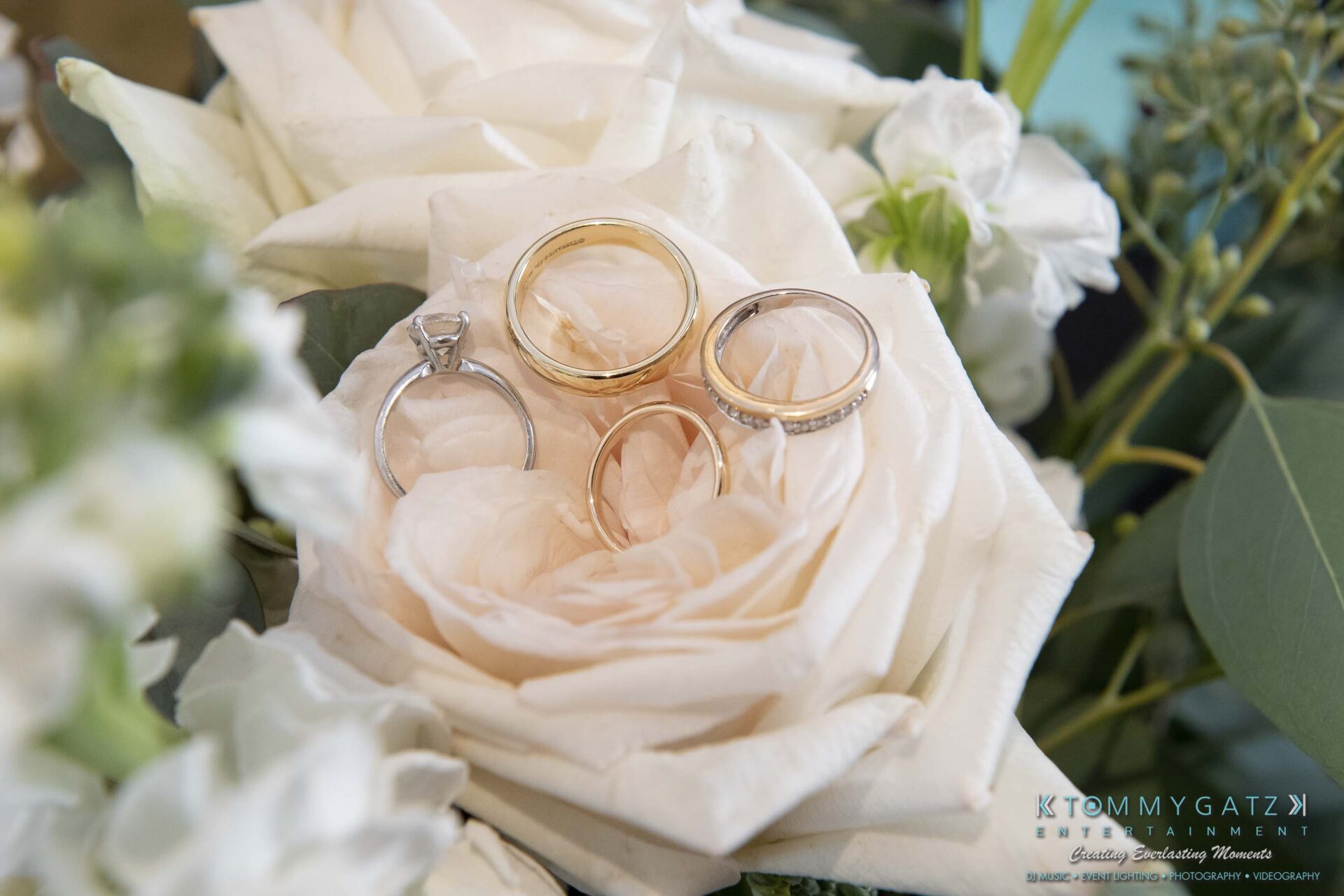 Close-up of three wedding rings resting on white rose petals, surrounded by greenery.