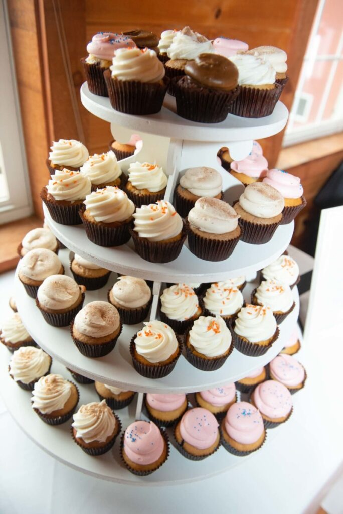 Christine-Jon-Wedding-Blog-57 - TOMMY GATZ ENTERTAINMENT A tiered stand displaying a variety of frosted cupcakes, including chocolate, vanilla, and pink flavors, arranged indoors near a window.