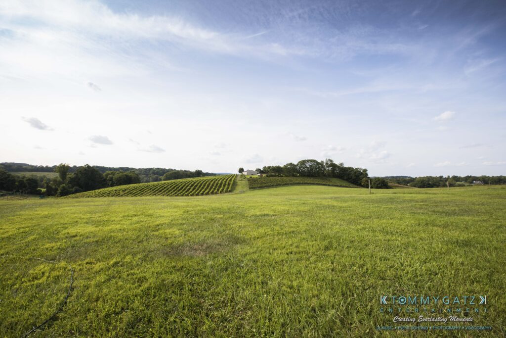 Jennifer-Rudi-Highlights-Low-res-4 - TOMMY GATZ ENTERTAINMENT Expansive view of a vineyard, with rows of grapevines on a gentle hill under a partly cloudy sky, surrounded by green grass.