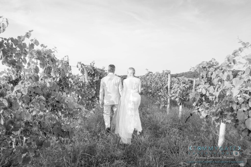 JenniferRudiWeddingFormalPhotos-247 - TOMMY GATZ ENTERTAINMENT A couple in formal attire walks hand in hand through a vineyard during the day.