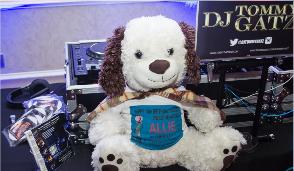A large plush dog toy sits in front of DJ equipment, wearing a plaid scarf and a shirt with a birthday message for "Allie.
